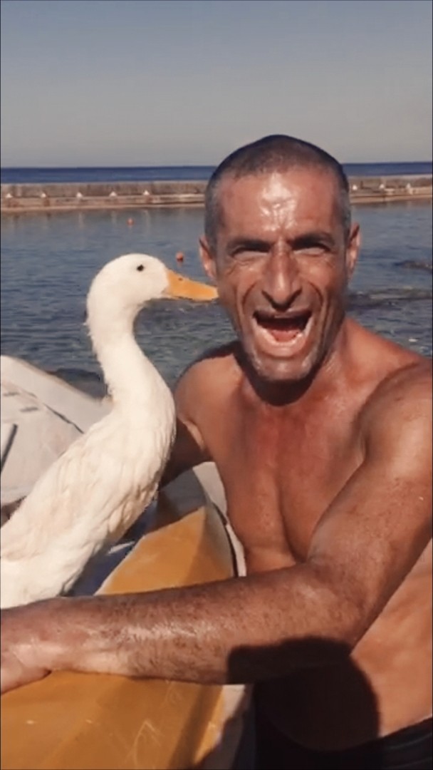 A laughing man holds a white duck on a boat by the sea
