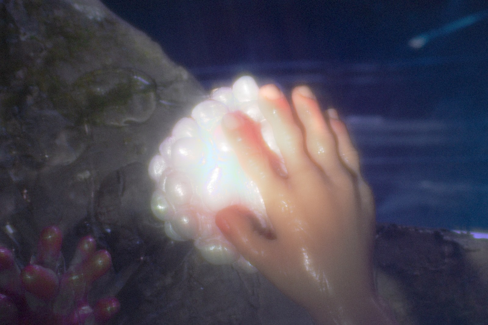 A puppet hand touches a glowing, bubbly shape on a rock