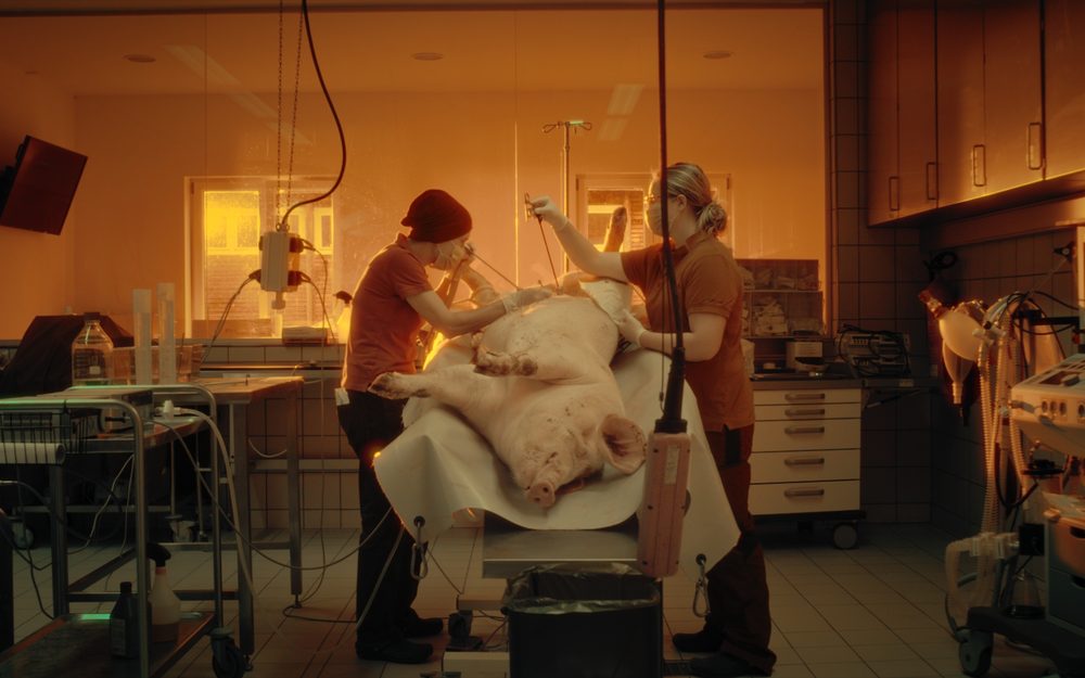 Surgeons in an operating room in warm orange light
