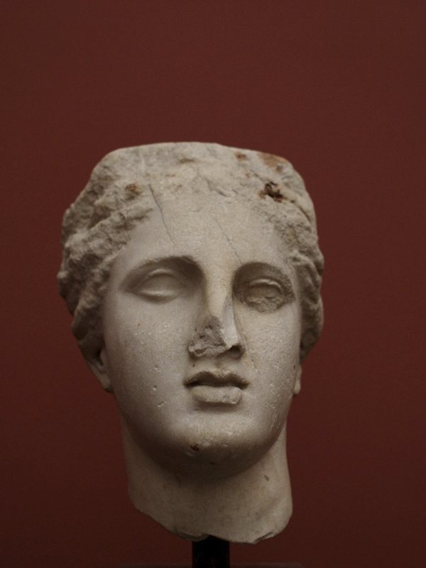 Antique marble head in front of a dark red wall