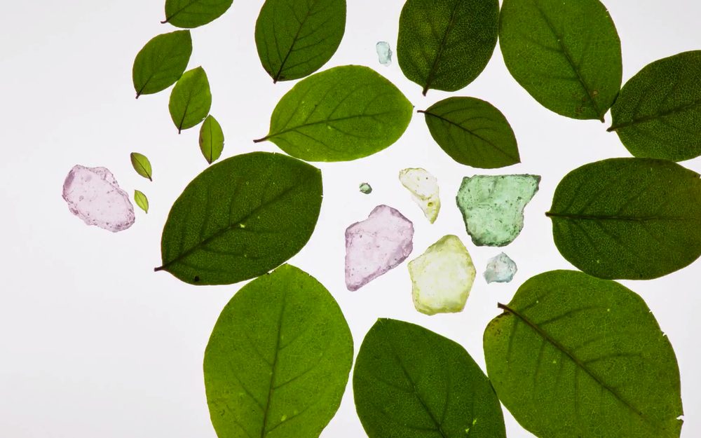 Green leaves and pieces of coloured glass on a white background
